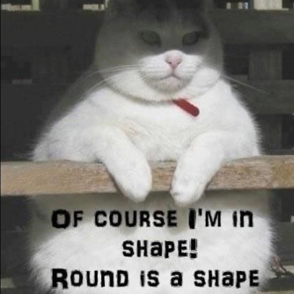 Meet your Posher, Sarah Elizabeth - Picture 4 of 5